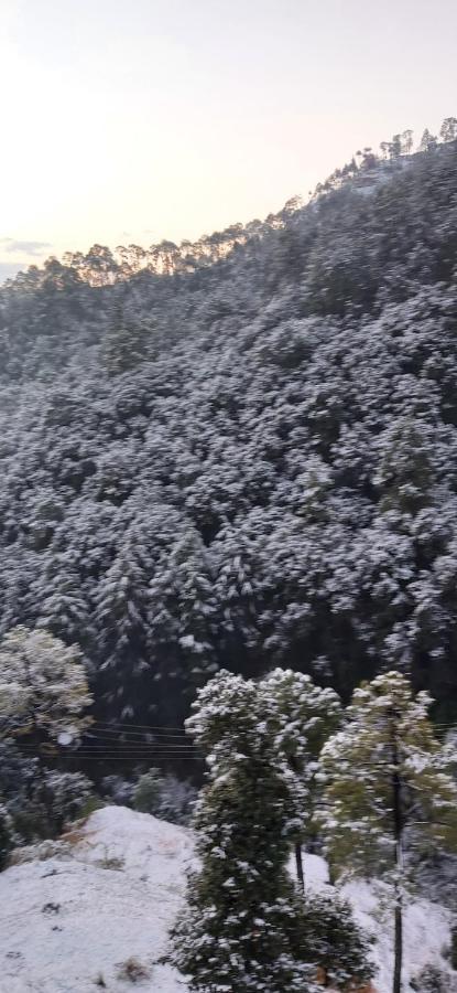 Solitude Inn Bnb Shimla Exterior photo